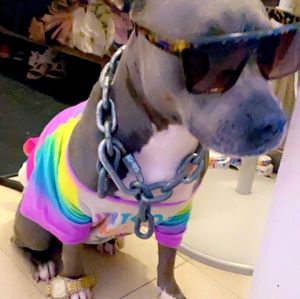 Meet your Posher, Enid